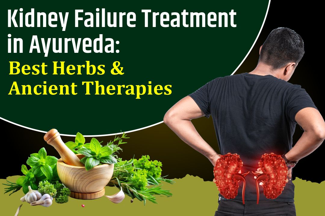 Kidney Failure Treatment in Ayurveda: Best Herbs &  Ancient Healing Therapies 